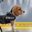 기동축산 이미지