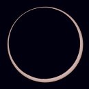 Seed of Li 이미지