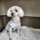 석적도서관 이미지