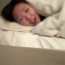박쉐프 슈가네돈카츠 | 250219~250220 왜 야옹이는 같이 여행을 못 다니나요🥹