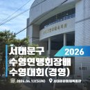 2026 서대문구 수영대회 참가후기 &amp; 종목별 기록 정리