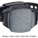진정보통신 IT동아