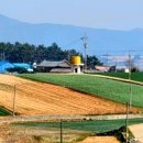 용정2리 경로당 이미지