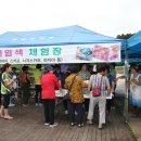 봉정연꽃마을 이미지