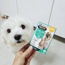 어덜트헬스케어