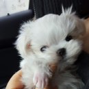 愛nimal(애니멀) 이미지