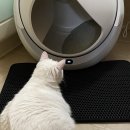 감자와 맛동산 이미지