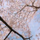 여좌천로 이미지