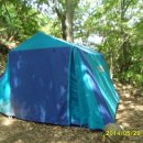 숲속의하루 이미지