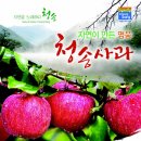 청송꿀사과