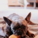 늘푸른 행정사사무소 이미지