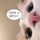 뾰로롱 인형뽑기 | 여름아… 진심으로 오지 말랬다?