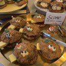 NR-3[경상대로]-하-180 | 2019를 마무리하는 12월의 일상 (역대급 분량)