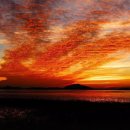 자연 앞에서 ... 법정스님 이미지