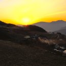 바램 티스토리