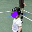 보니토(Bonito)