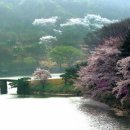 정윤복, 정호선묘 및 신도비 | 용인팔경 - 가실벚꽃