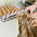 선한부자농장 이미지