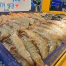 청춘수산 이미지