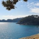 삼성호 민박 이미지