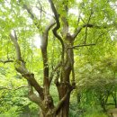 강천산 길 이미지