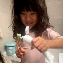 해달 어린이집(유치원) | 미세플라스틱 걱정없는 안전한 닥터노아 대나무 어린이 칫솔