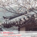 성주매점 이미지