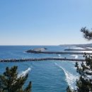 흥부 공설시장 이미지