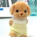 원데이클래스 이미지