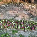 경훈미술관 이미지