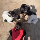 근화지역아동센터 이미지