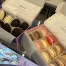 아리네개치원 | 용산 아이파크몰 도파민스테이션 디저트팝업 아벡쉐리 아리키친