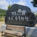 공주-44 | [충남/공주] 유구색동수국정원꽃축제 | 축제 전•후 방문후기