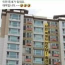 호정