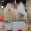 SNPE바른자세 이미지