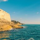 리코(rico) 이미지