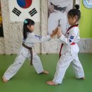 용인대푸른태권도 이미지