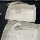 애플꼬마김밥문경