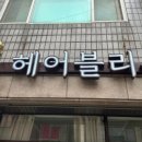헤어블리유