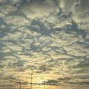 (주)지나월드 | 롯데월드 1박 2일 원더도어 재입장이 가능한 롯데호텔 월드