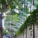 천일중학교 이미지