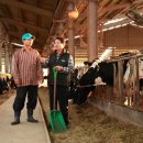 상하푸른목장 네이버블로그