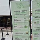 성수 성분에디터 그린토마토 마켓 팝업 후기 이벤트 총정리