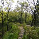 호암세월 이미지