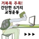 거북목 주목 간단한 5가지 교정운동 이미지