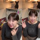 가인메디 이미지