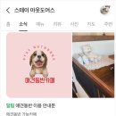 스테이아웃도어스 이미지