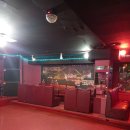 판코리아나이트클럽 이미지