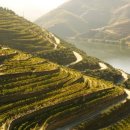 와인과 세계문화 이미지