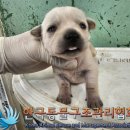 월산암요양병원 이미지